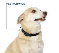 Plastic Clip Collar A Nightmare on Elm Street READY OR NOT HERE I COME/Freddy Si