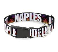 Plastic Clip Collar Florida Cities Palm Tree Sunset/White WIDE-Large 20-31"