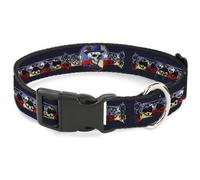 Plastic Clip Collar Grateful Dead Dave's Picks Skeleton Americana Bonus Art NARR