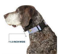 Plastic Clip Collar Tinker Bell Poses Purple/Pink Fade WIDE-Large 20-31"