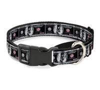 Plastic Martingale Collar 100 Dollar Bill X-Ray Black/White Small 9-15"