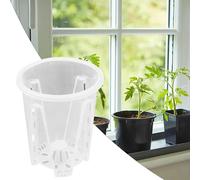 Plastica for trasparente Orchidea Pentole & Fori Grasse Pianta