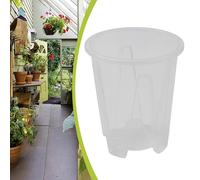 Plastica for trasparente Orchidea Pentole & Fori Grasse Pianta