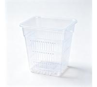 Plastica per trasparente per Orchidea Pentola Set 5 per pz Quadrato Traspirante
