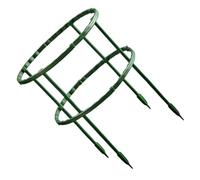 Plastica Supporto per Piante Rampicanti Guida Steli, Verde | Viti e Ortaggi, Sostiene Piante Erette, Limita la Dispersione, Semplice ed Elegante
