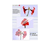 Plastificatori Olympia 1x100 DIN A4 80 micron Trasparenti