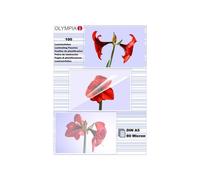 Plastificatori Olympia A5 80 micron Trasparenti 100 pezzi