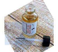 Plastik KK2 con pennello Vernice trasparente impermeabilizzante 30GR