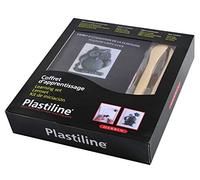 Plastiline 8750T -cofanetto d'apprendimento per la plastilina-Panetto medio da 350g-Plexi-fil di ferro-2 strumenti-schede modello istruzioni (francese - inglese) -Colore Grigio -Prodotto in Francia