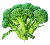 PLAT FIRM Germinazione dei semi: 100 + Semi: Seme Broccolo: Broccoli Marathon seme semi Fresh Spedizione gratuita