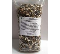 PLAT FIRM Germinazione dei semi: 2,5 Oz: Semillas de Moringa oleifera (para plantare) Paisley Farm Crafts