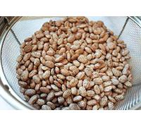 PLAT FIRM Germinazione dei semi: Pinto-Fagioli-organici 1 LB Semi 2018 Stagione NON OGM Semi