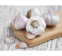 PLAT FIRM Semi di GERMINAZIONE: 100 g Multi-Blätter Knoblauch zum Kochen von Speisen Gesundes Grün Gemüse Thai Kräuter