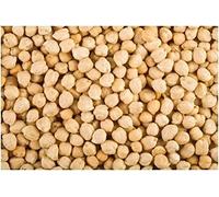 PLAT FIRM SEMI DI GERMINAZIONE: 2 Unzen Bio Kichererbsen Samen -A2