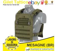 Plate Carrier Verde OD 1000D - 8fields