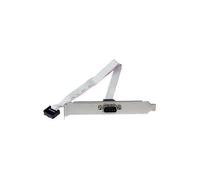 Startech Slot (40 cm) Seriale 9 Pi One Size Gray