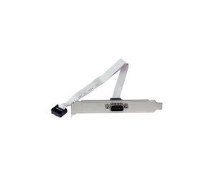 PLATE9M16 Startech Header, Connettore Seriali 9Pin-10Pin Per Scheda Madre