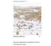 Plateau de Bevaix 3: Bevaix/Le Bataillard : occupations terrestres en bordure de marais.