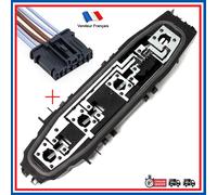 Platina Fari Posteriori Sinistra O Destra C3 I 1.4 HDi/Essenza 2002-2009 6303A2