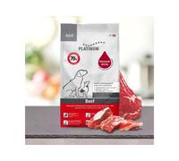 Platinum adult manzo 5kg