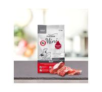 Platinum adult manzo mini 900gr