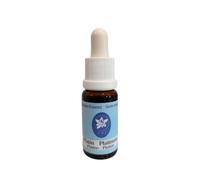 Platinum Essenza di Cristalli Korte 15ml