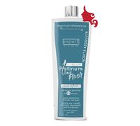 PLATINUM ONE FLASH BLUE Trattamento Lisciante Keratina 1 Step 400 ml Retrò.Prof.