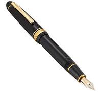 Platinum President - Penna stilografica, colore: nero