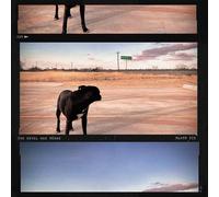 Plato III The Devil Has Texas (CD)