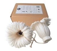 Plawanature 2 Gerbera Daisy Sola Wood Flower 11,4 cm stoppino in cotone con filo diffusore set per elegante decorazione di interni hotel