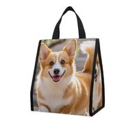 Playful Corgi - Borsa termica per il pranzo, per donne e uomini, riutilizzabile, grande borsa termica a tenuta stagna, pieghevole, portatile, per lavoro, campeggio, picnic