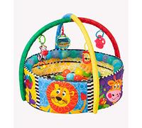 Playgro 0184007 - Tappetino da gioco 4 in 1, multicolore