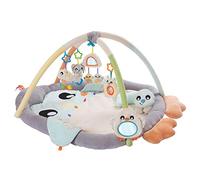 Playgro Tappetino per Giocare e Gattonare con Arco Pinguino per Bebè, per Neonati, 40220, Grigio/Celeste