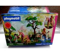 Playmobil Fairies On An Excursion Construction Game Multicolor Bambini