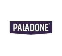 Playstation Carte da Gioco Astro Bot Paladone Products