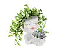 Plcnn Fioriera a testa di vaso per fiori con viso e piante grasse, doppio vaso da fiori in un vaso con testa in resina con foro di drenaggio