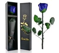 PLECUPE Rosa eterna con Gambo, Vera Rosa Infinita in Scatola, Regalo per Donne, Rosa conservata, Durevole in Scatola di Rosa, Regalo per Mamma, Fidanzata, San Valentino, Festa della Mamma, Blu