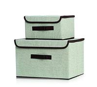 PLECUPE Set di 2 Pieghevole Scatola di Immagazzinaggio con Coperchio per l'organizzazione del Guardaroba, Vestiti, Abbigliamento, Fogli, Posprica Cestini Portaoggetti, Menta Verde