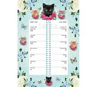 Plenty Gifts Calendario 2027 - Calendario settimanale Cats Blue