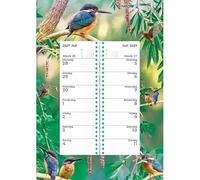 Plenty Gifts Calendario 2027 - Calendario settimanale Kingfisher