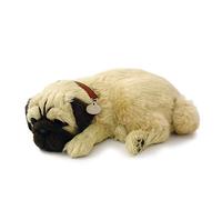 Plenty Gifts - Perfect Petzzz | Peluche Réaliste - Labrador Chocolat | Avec Boîte de Transport et Lit | Piles Incluses