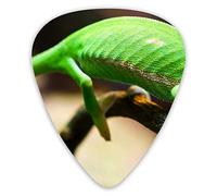 Plettri per chitarra 3D Chameleon 12 pezzi Plettri per ukulele inclusi 0,46 mm 0,71 mm 0,96 mm