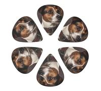 Plettri per chitarra, 6 pezzi, con collare per cani stampati, plettri per basso, chitarre acustiche elettriche e ukulele
