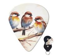 Plettri per chitarra, 6 pezzi, plettri per chitarra personalizzati con custodia, uccelli che riposano su un ramo di un albero, plettro per chitarra, plettro per chitarra elettrica, plettro per chita