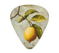 Plettri per chitarra acustica di spessore differente della scatola di immagazzinaggio dell'organizzatore della stampa della frutta