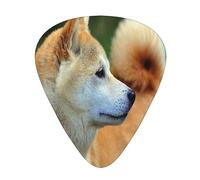 Plettri per chitarra, Akita Inu Bokeh Pets Dogs Akita Inu per chitarra acustica, chitarra elettrica, basso, ukulele tre dimensioni (confezione da 12)