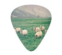 Plettri per Chitarra Animali della Fattoria Confezione da 12 Plettri per Chitarra Universali in ABS, Foto a Tema Allevamento con Pecore al Pascolo sull'Erba nellAIslandese, per Chitarra Acusti