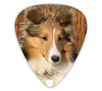 Plettri per chitarra Bellissimi plettri per ukulele per cani di razza Sheltie 12 pezzi inclusi 0,46 mm 0,71 mm 0,96 mm