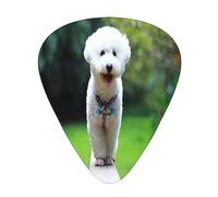 Plettri per chitarra, Bichon Frise Bokeh Pets Dogs Park White Dogs per chitarra acustica, chitarra elettrica, basso, ukulele tre dimensioni (confezione da 12)