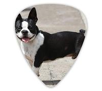 Plettri per chitarra Black and White Dog 12 pezzi Plettri per ukulele inclusi 0,46 mm 0,71 mm 0,96 mm